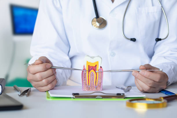 Best Same-Day Emergency Dental Services in Panhandle, TX